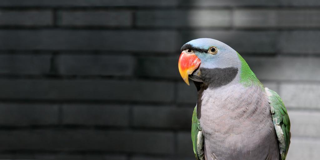 ランディソン ロンジン リゾート 杭州 エクステリア 写真